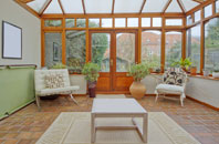free Stelling Minnis conservatory quotes