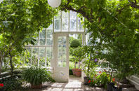 free Stelling Minnis orangery quotes